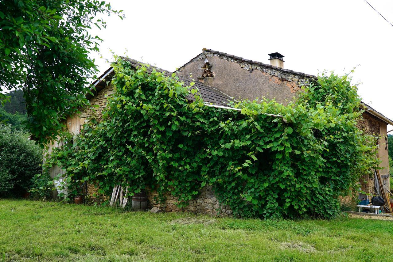 Villa La Prairie Siorac-en-Périgord Esterno foto
